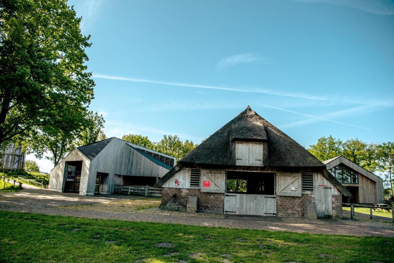 Europarcs Ruinen酒店 外观 照片